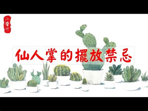 仙人掌陽台風水|仙人掌後陽台擺放攻略